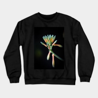 Aloe Vera Flower Crewneck Sweatshirt